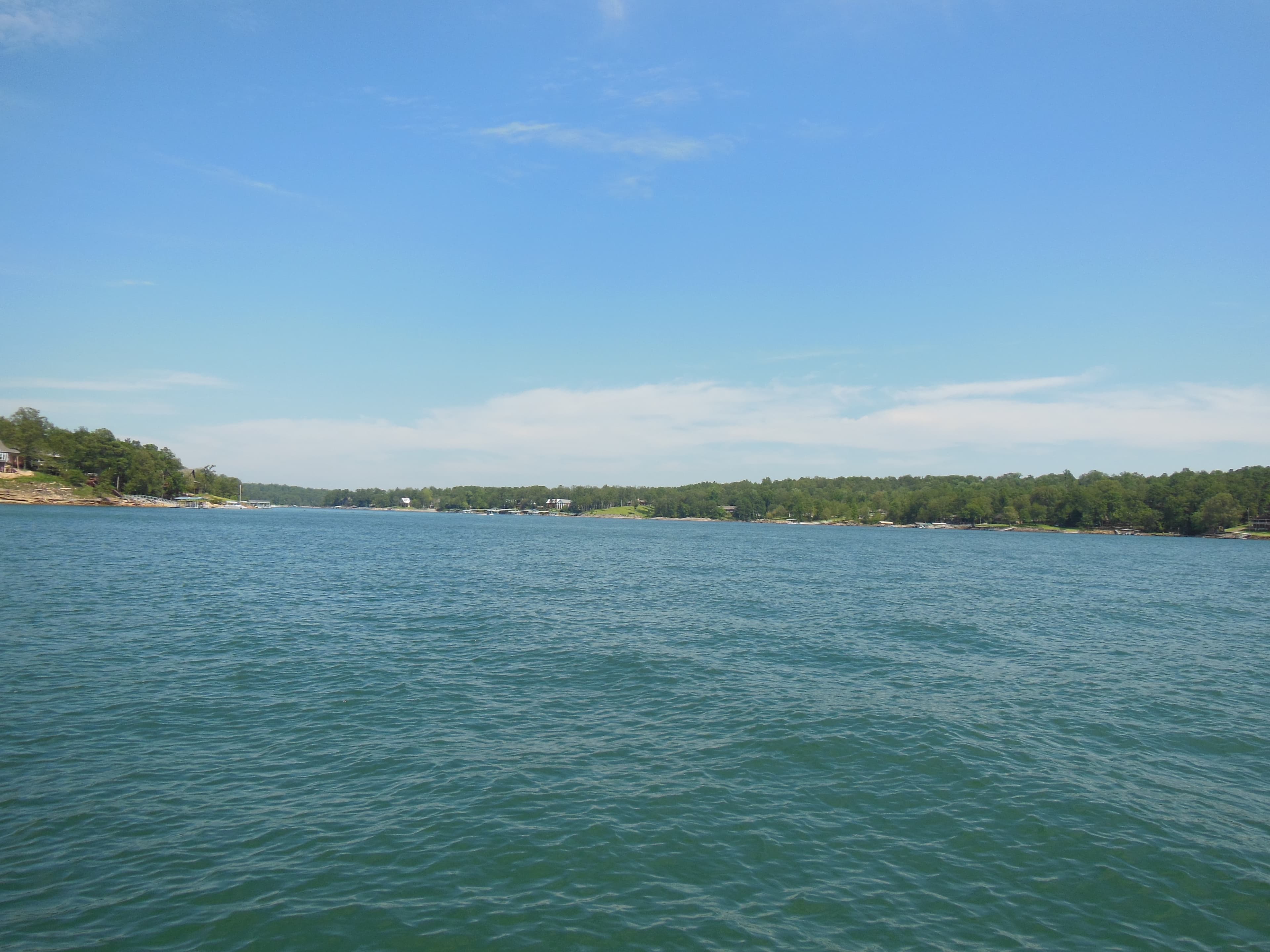 View from the water of Lewis Smith Lake, Alabama — forested shoreline and gin-clear water