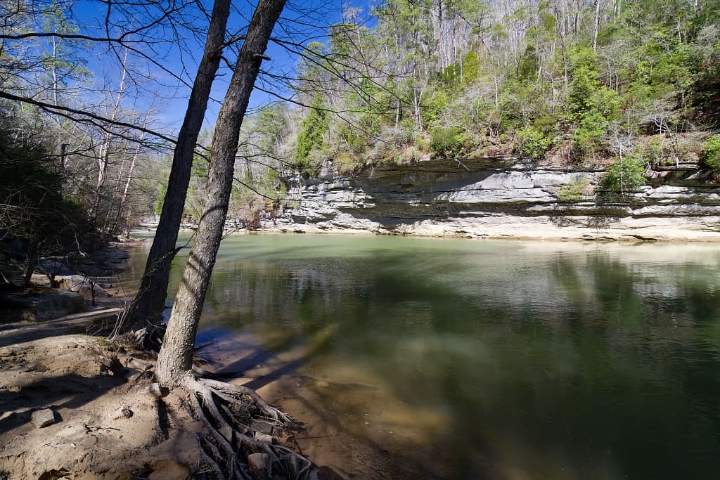Clear Creek in William B. Bankhead National Forest near Walker County — the north Alabama forest and watershed country that surrounds Walker County Public Fishing Lake three miles southeast of Jasper