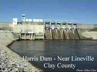 R.L. Harris Dam on the Tallapoosa River — the structure that impounds Lake Wedowee